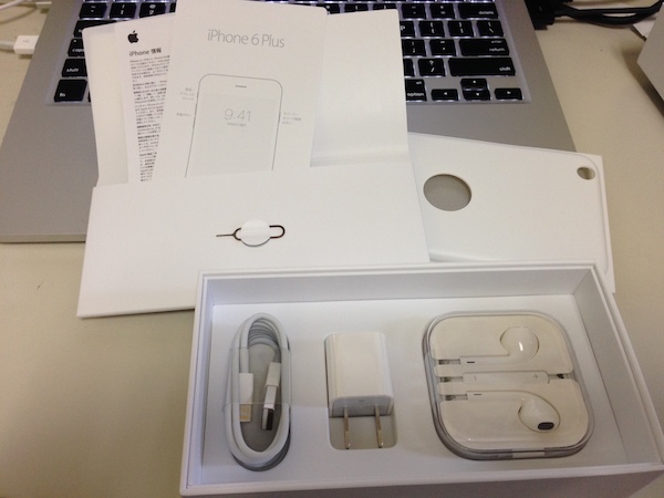 The rest of the contents of the iPhone box - lightning cable, adapter and ear buds.